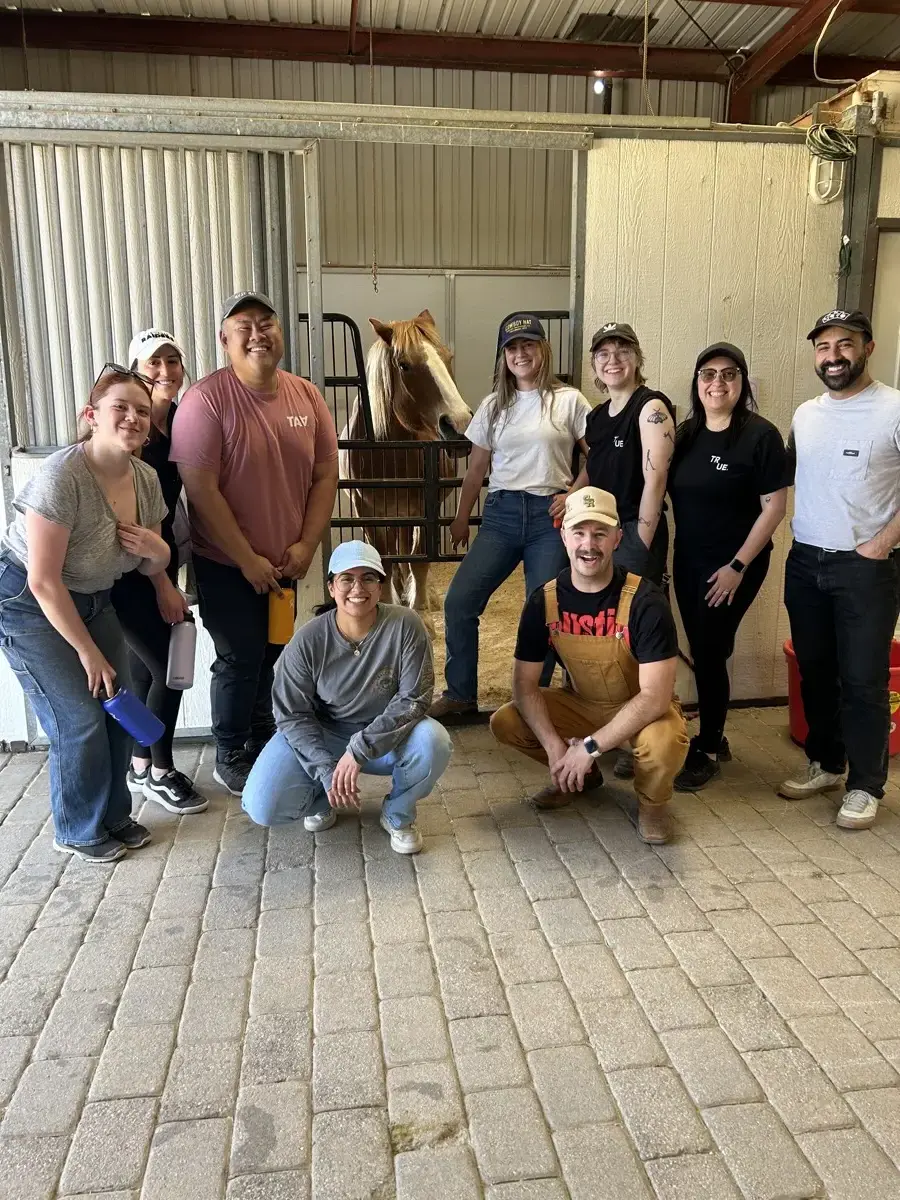 lead with horses
